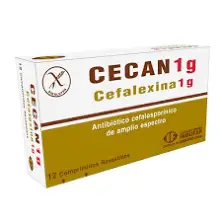 CECAN 1G 12 COMPRIMIDOS